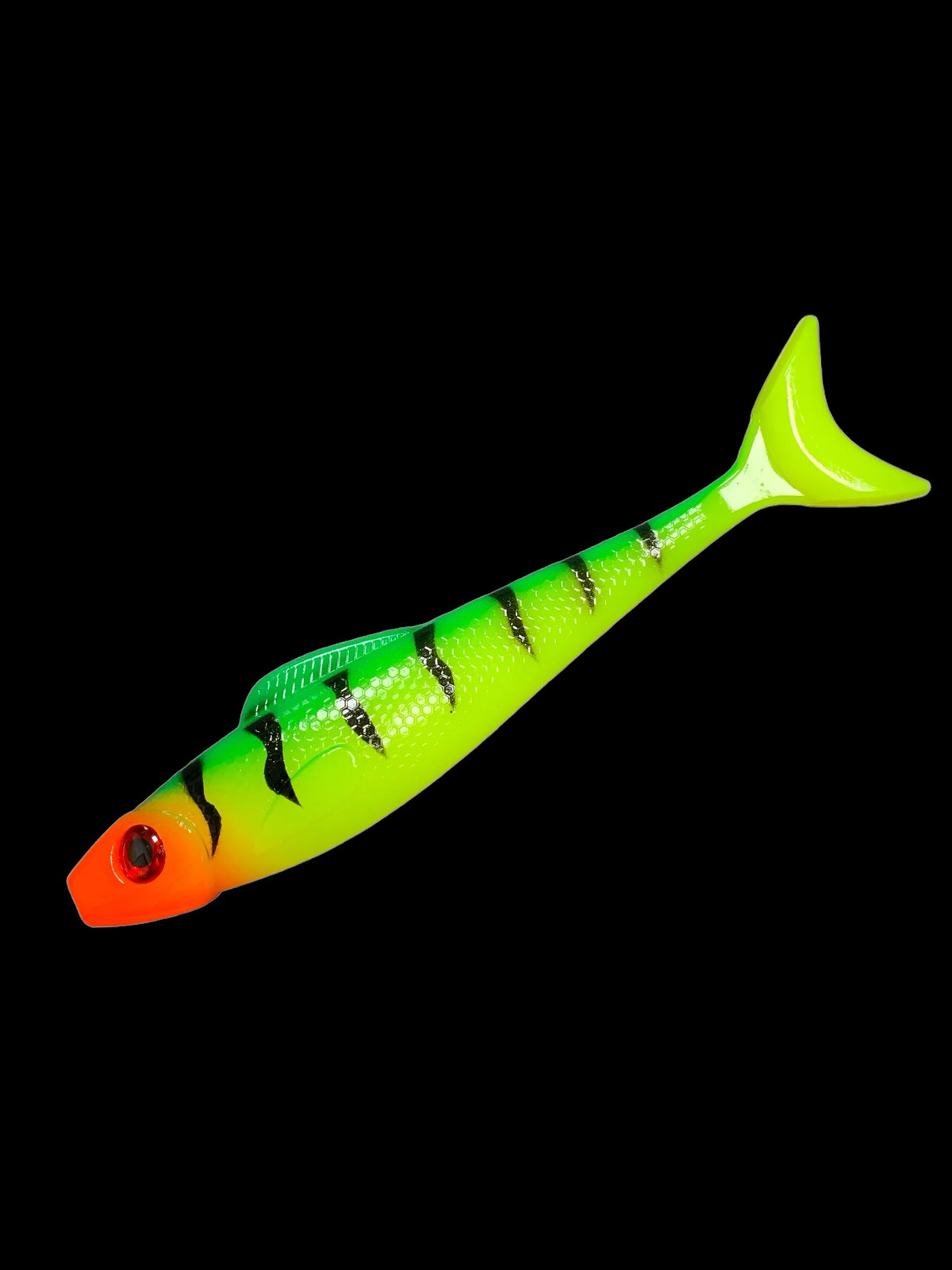 Scout Shad 6 Inch – Hook'Em Up Tackle