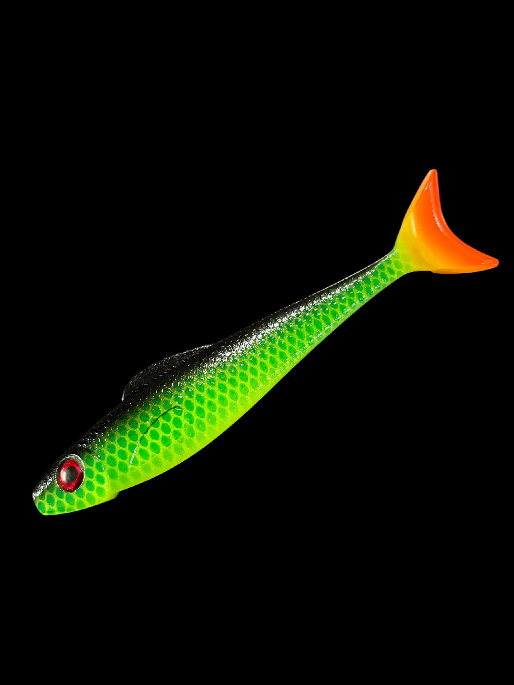 Scout Shad 6 inch