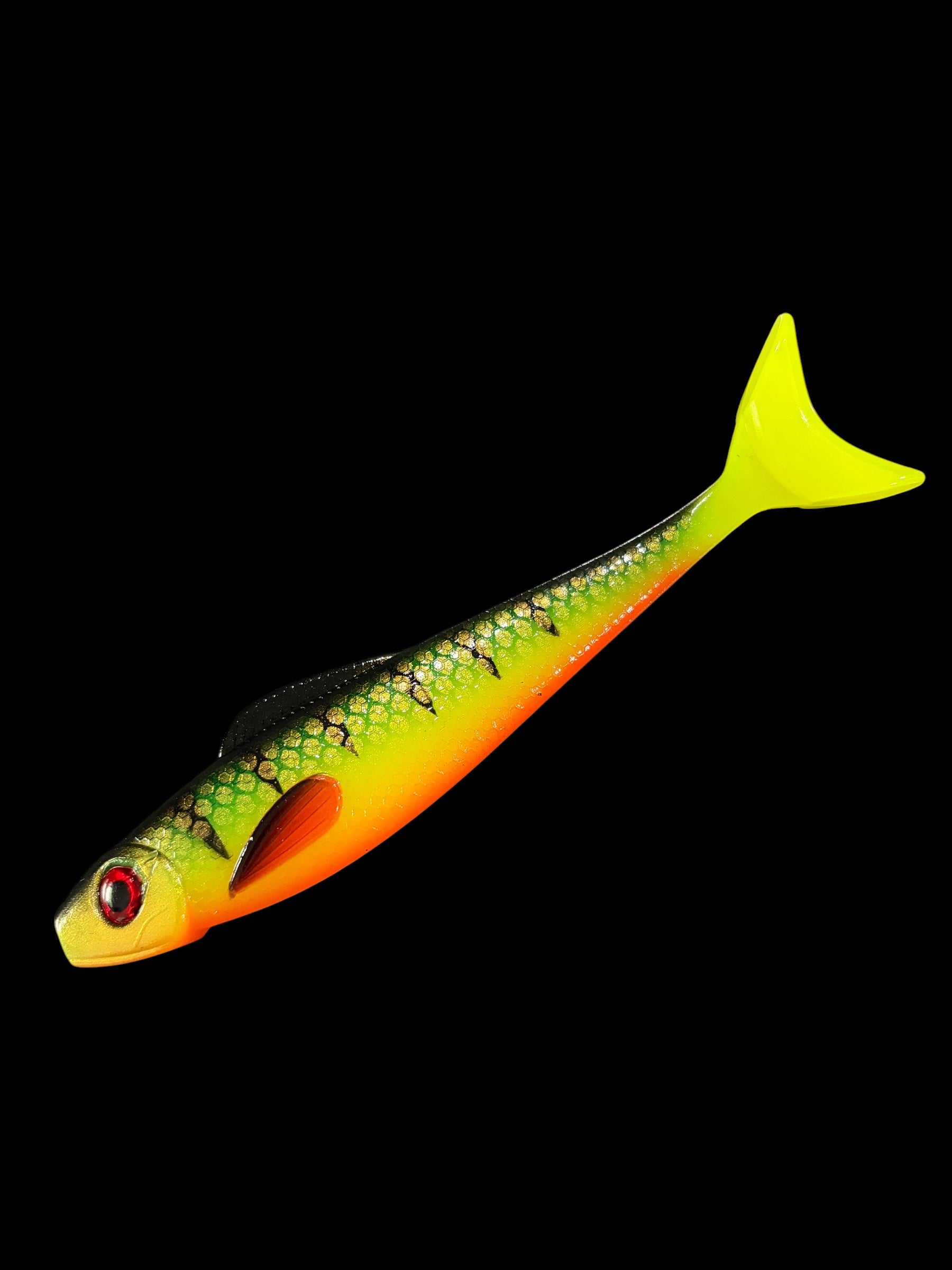 Scout Shad 6 Inch