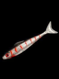 Scout Shad 6 Inch – Hook'Em Up Tackle