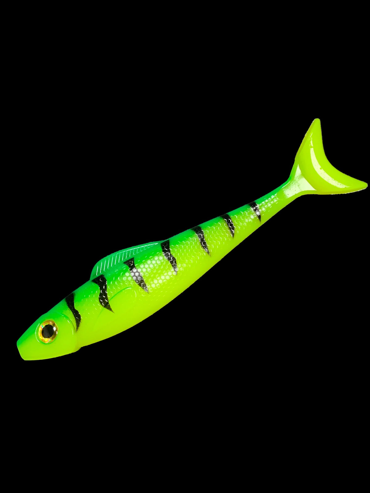Scout Shad 6 Inch – Hook'Em Up Tackle