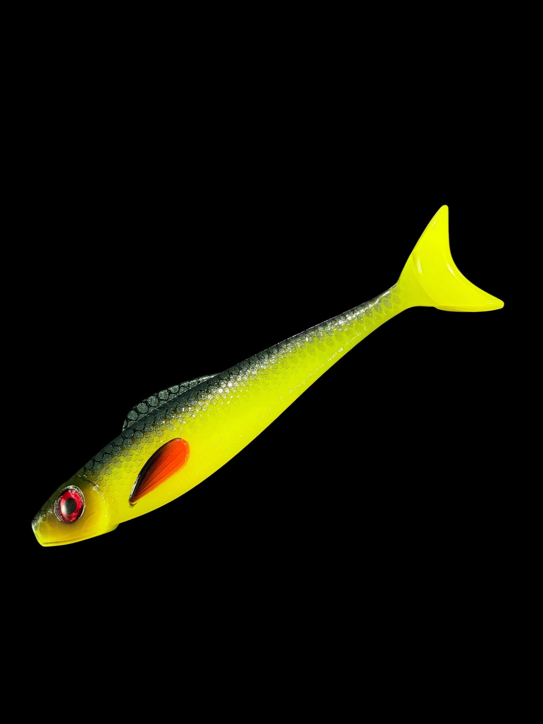 Scout Shad 6 inch